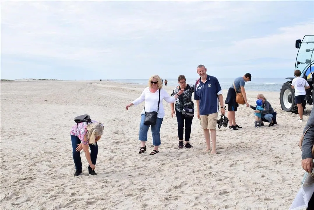 G22.2 grenen and the sandormen sat 22 jul (7)